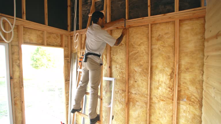 Best Blown-In Insulation  in Sweetwater, FL